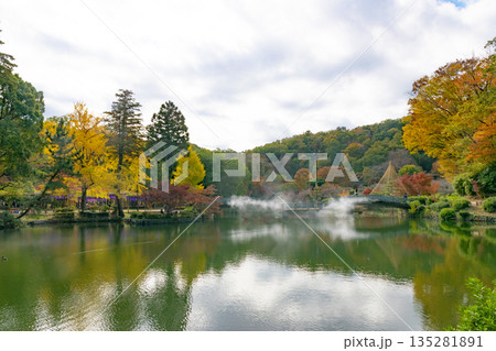 池のある公園 135281891