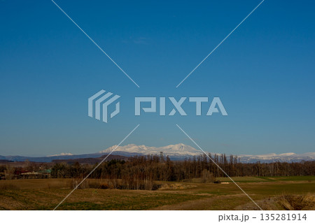 春の青空と雪山　大雪山 135281914