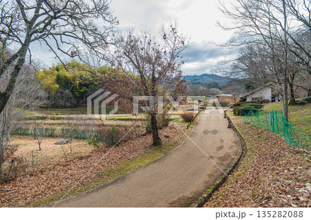 高松塚古墳への道　奈良県明日香村 135282088