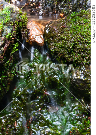 Shot in Tsukui Shot in Tsukui 135282505