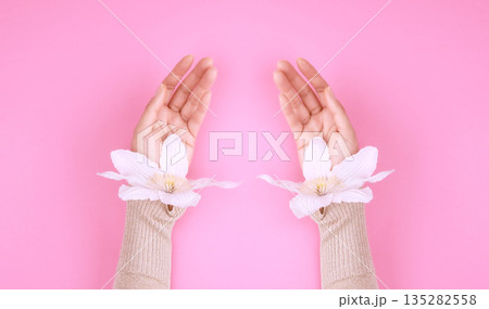 Female hands with delicate white flowers on a pink background 135282558