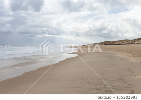 Waves and cloudy skies in a beach landscape Waves and cloudy skies in a beach landscape 135282993