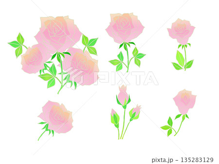 かわいいピンクのバラのイラスト素材 135283129