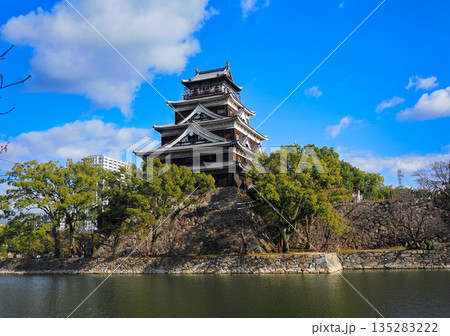 広島城　鯉城 135283222