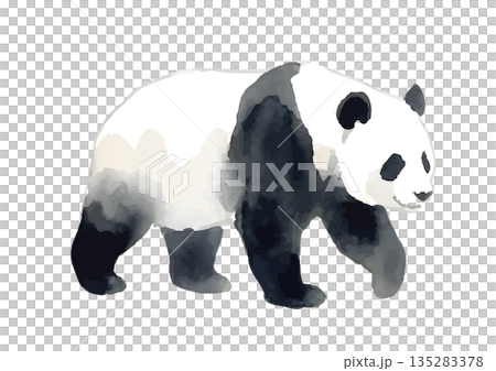 水彩風格的熊貓插畫 135283378