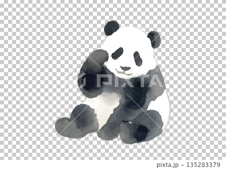 水彩風格的熊貓插畫 135283379