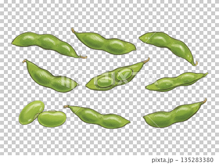手繪毛豆插圖 135283380