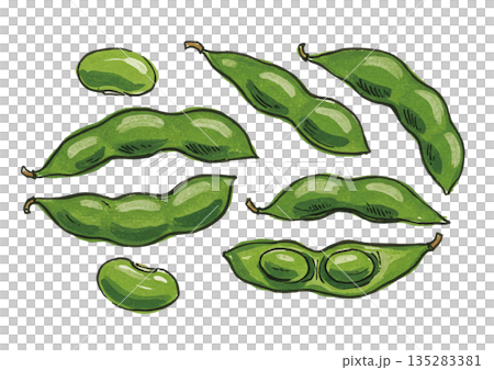 手繪毛豆插圖 135283381