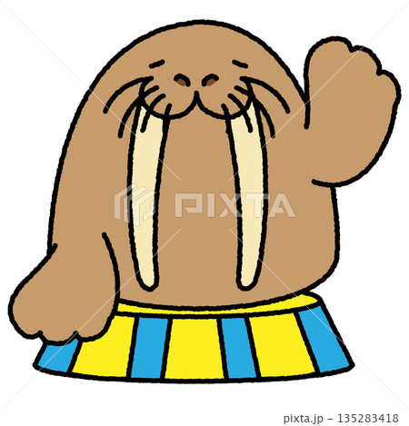 ステージの上で手を振るセイウチのかわいいイラスト 135283418