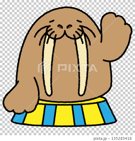 ステージの上で手を振るセイウチのかわいいイラスト 135283418