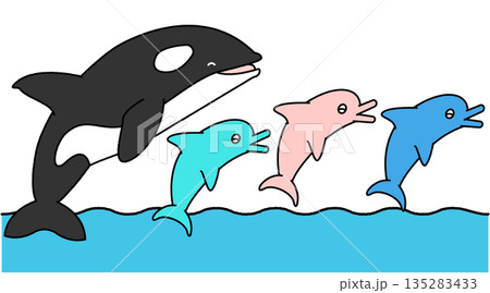 水族館でシャチとイルカがジャンプするショーのイラスト 水族館でシャチとイルカがジャンプするショーのイラスト 135283433