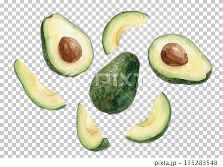 Watercolor style avocado illustration 135283548