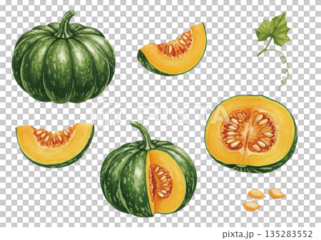 水彩風のかぼちゃイラスト 135283552