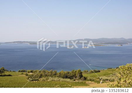 Vineyards on Peljesac peninsula overlooking Korcula island and archipelagoVineyards on Peljesac peninsula overlooking Korcula island and archipelago Vineyards on Peljesac peninsula overlooking Korcula island and archipelagoVineyards on Peljesac peninsula overlooking Korcula island and archipelago 135283612
