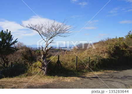 関東の富士見百景 瀬上市民の森 関東の富士見百景 瀬上市民の森 135283644