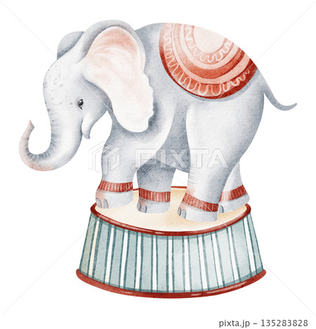 Watercolor illustration of a cartoon elephant standing on a circus podium. Suitable for children's books, cards, and nursery art. Features hand-drawn style and isolated background. 135283828