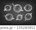 Chalk sketch of gooseberries. 135283852