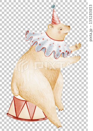 Circus animal character sits on podium. Watercolor illustration for children, childhood, nursery, poster, card, invitation. Cartoon bear isolated for design. Circus animal character sits on podium. Watercolor illustration for children, childhood, nursery, poster, card, invitation. Cartoon bear isolated for design. 135283853