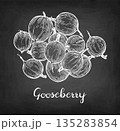 Handful of gooseberries chalk sketch. 135283854