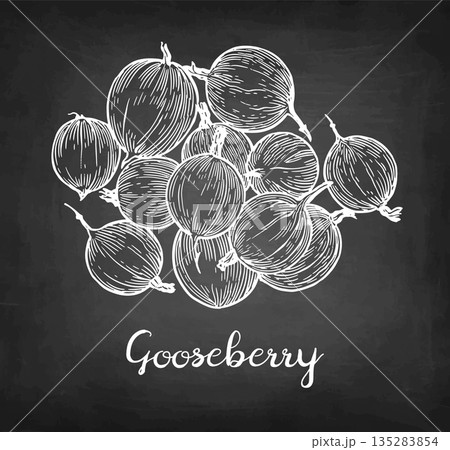 Handful of gooseberries chalk sketch. Handful of gooseberries chalk sketch. 135283854