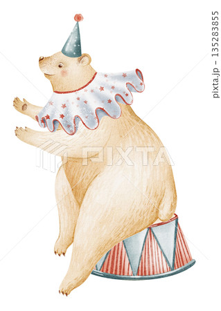 Watercolor illustration of a circus bear sitting on a podium. Cartoon animal character isolated on white background. Suitable for children design, nursery art, posters, invitations, and cards. Watercolor illustration of a circus bear sitting on a podium. Cartoon animal character isolated on white background. Suitable for children design, nursery art, posters, invitations, and cards. 135283855