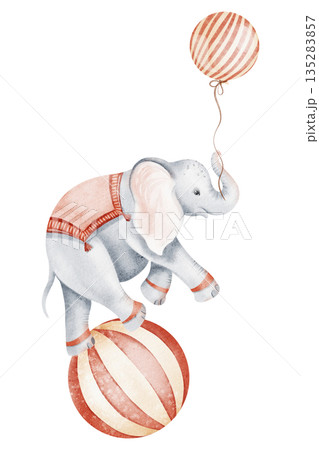 Watercolor illustration of a circus elephant balancing on a ball. Ideal for children's books, nursery decor, invitations, and birthday cards. Cute cartoon style. Watercolor illustration of a circus elephant balancing on a ball. Ideal for children's books, nursery decor, invitations, and birthday cards. Cute cartoon style. 135283857