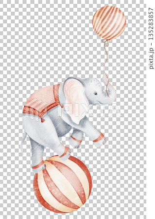 Watercolor illustration of a circus elephant balancing on a ball. Ideal for children's books, nursery decor, invitations, and birthday cards. Cute cartoon style. Watercolor illustration of a circus elephant balancing on a ball. Ideal for children's books, nursery decor, invitations, and birthday cards. Cute cartoon style. 135283857