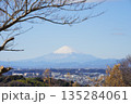 関東の富士見百景　瀬上市民の森 135284061