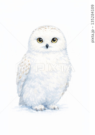 水彩画風　フクロウのイラスト素材 135284109