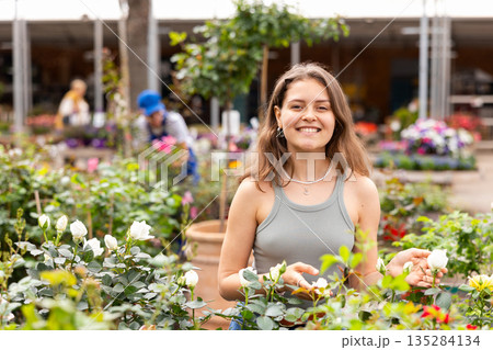 Young girl choosing blooming potted roses in garden store 135284134