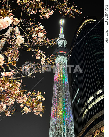 スカイツリーと桜のある風景 135284753