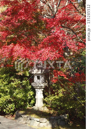 将軍塚青龍殿の紅葉 将軍塚青龍殿の紅葉 135285512