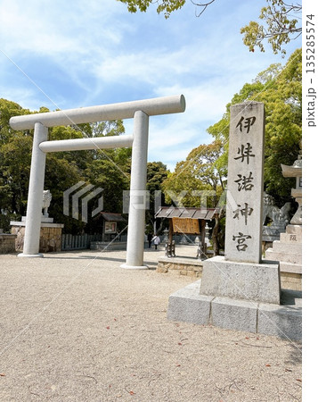 淡路島　伊弉諾神宮　鳥居 135285574