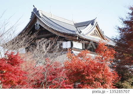 将軍塚青龍殿の紅葉 将軍塚青龍殿の紅葉 135285707