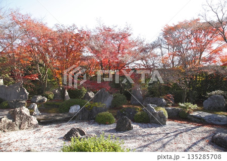 将軍塚青龍殿の紅葉 将軍塚青龍殿の紅葉 135285708