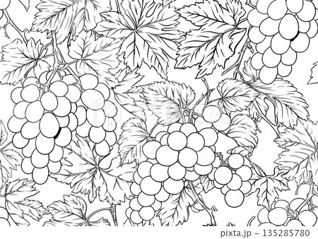 grape pattern outline grape pattern outline 135285780