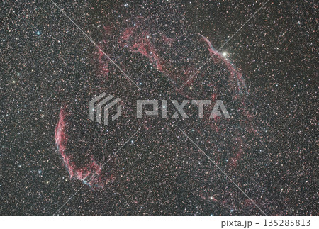 網状星雲 2022 網状星雲 2022 135285813