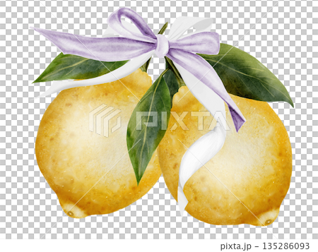 Lemons with ribbon bow watercolor. Hand drawn tropical sour fruit. Clip art of juicy yellow lime. Citrus on isolated white background. Ideal for logo and packaging of natural cosmetics, household Lemons with ribbon bow watercolor. Hand drawn tropical sour fruit. Clip art of juicy yellow lime. Citrus on isolated white background. Ideal for logo and packaging of natural cosmetics, household 135286093