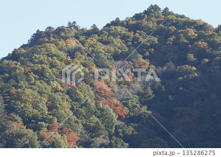 秋の紅葉した梶山 135286275
