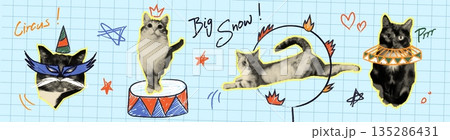 Halftone cats with doodle circus items Halftone cats with doodle circus items 135286431