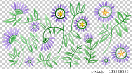 Watercolor illustration, set of abstract flowers, passiflora 135286583