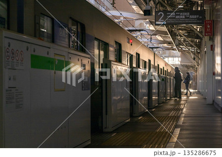 駅に停車中の電車 駅に停車中の電車 135286675
