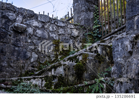 Weathered Stone Staircase With Moss and Ivy By A Rustic Wall And Iron Fence Weathered Stone Staircase With Moss and Ivy By A Rustic Wall And Iron Fence 135286691