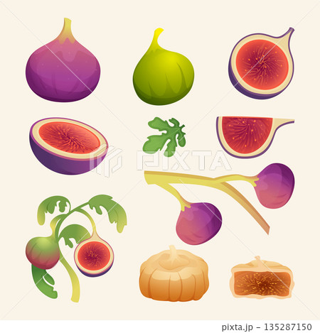 Fig fruits. Eating plants from fig tree exact vector healthy fresh fruits 135287150