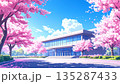 桜咲く春の学校の校舎と桜並木の風景 135287433
