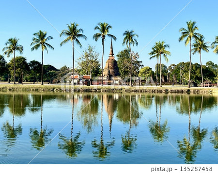 水辺に映る椰子の木とスコータイ歴史公園 135287458