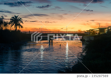 Sunset Over River With Bridge, Palm Tree, And Riverside Lights At Dusk 135287569