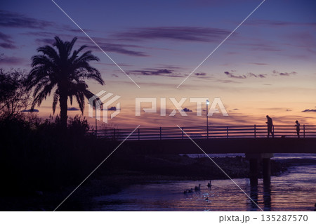 Silhouetted Pier at Sunset with Palm Tree and Figures Walking Across the Bridge Silhouetted Pier at Sunset with Palm Tree and Figures Walking Across the Bridge 135287570