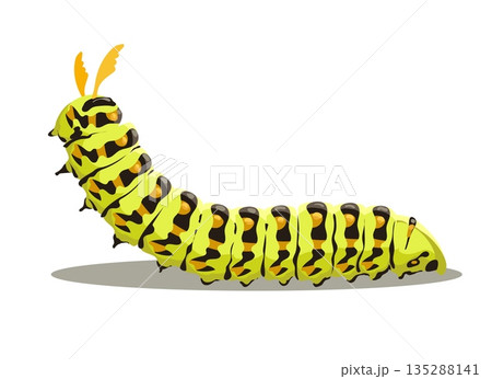 Cartoon papilio machaon caterpillar Cartoon papilio machaon caterpillar 135288141