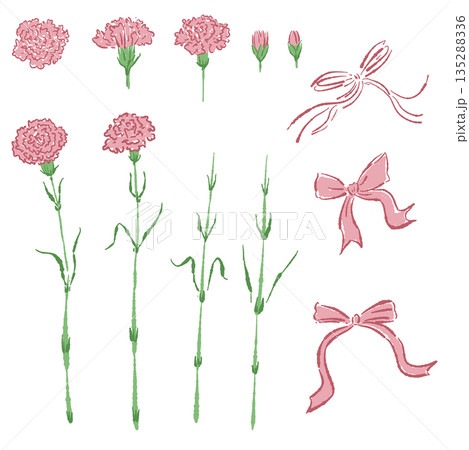 母の日のカーネーションの手書き風カラーイラスト素材 135288336